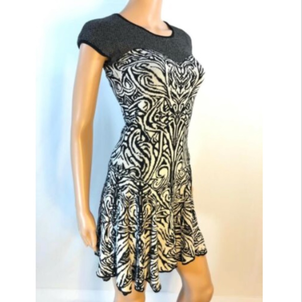 Max Studio Women’s Dress Knitted Fit & Flare XS - Picture 5 of 6